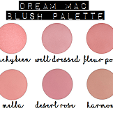 popular post dream mac blush palette